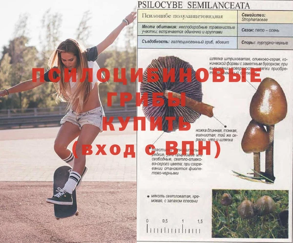 гашик Наволоки