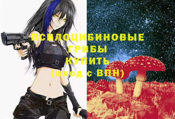 мдпв Надым